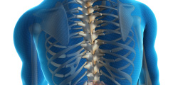 Spinal Cord Injury (SCI)